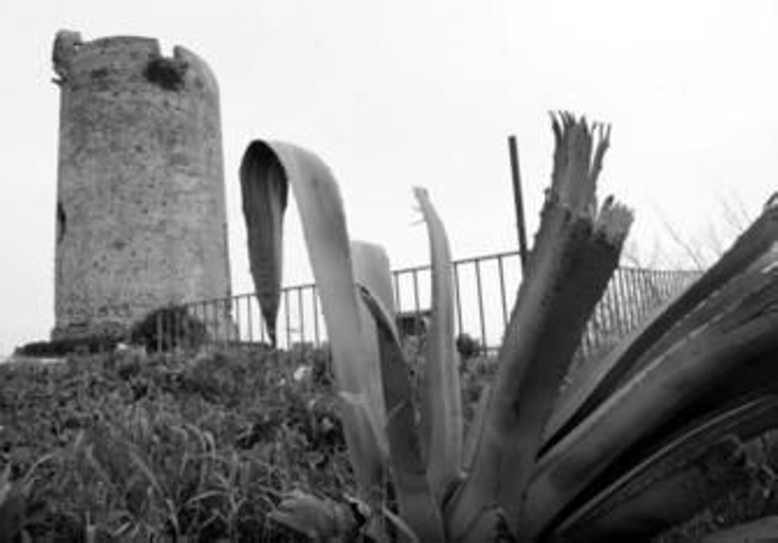 Imagen de la torre almenara del municipio linense.