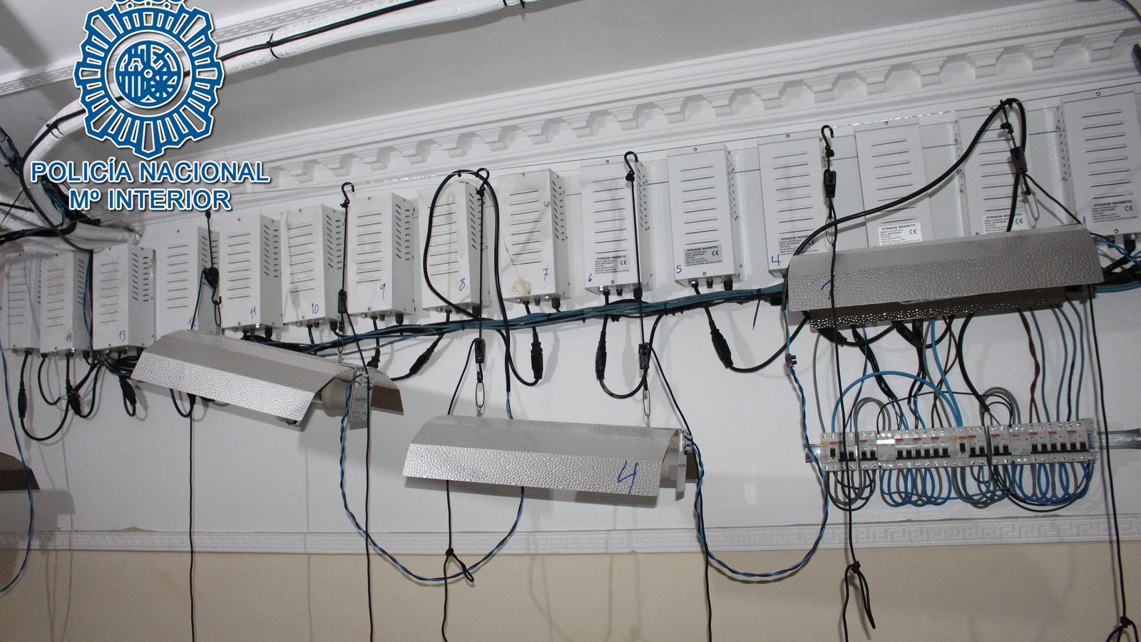 Los enganches ilegales de la luz.