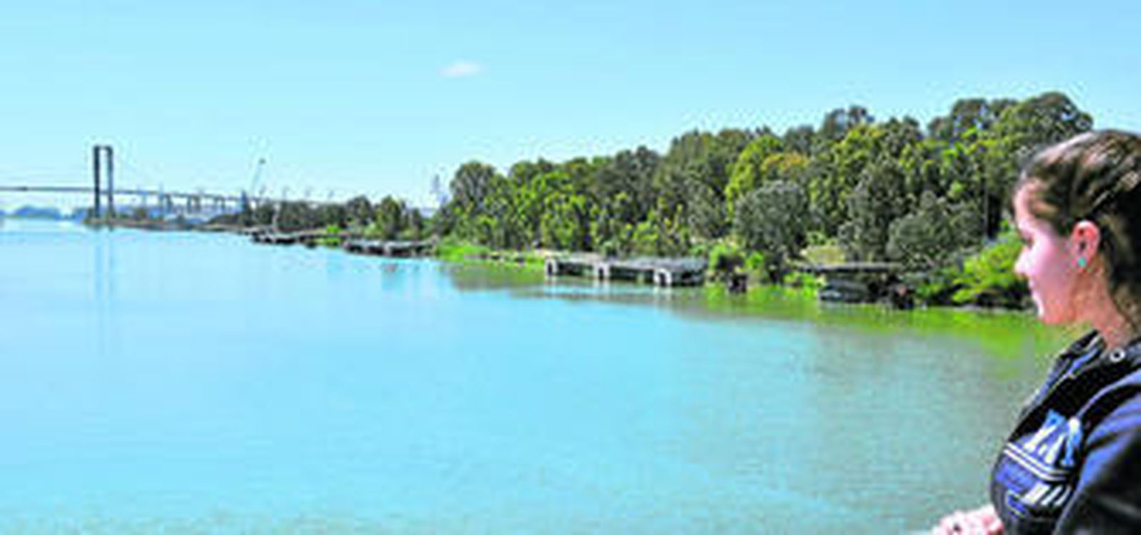 Vista de la margen derecha, junto al puente de las Delicias y oculta por los árboles, que acogerá espacios libres, usos terciarios y equipamientos.