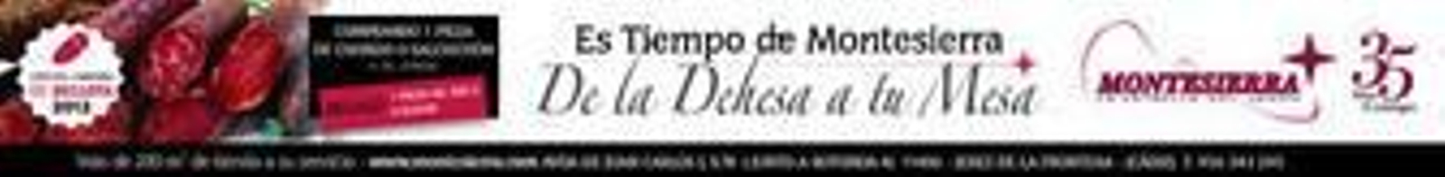 Vicente Moreno ya sólo piensa en el encuentro de mañana ante el Murcia y en sumar los tres puntos.