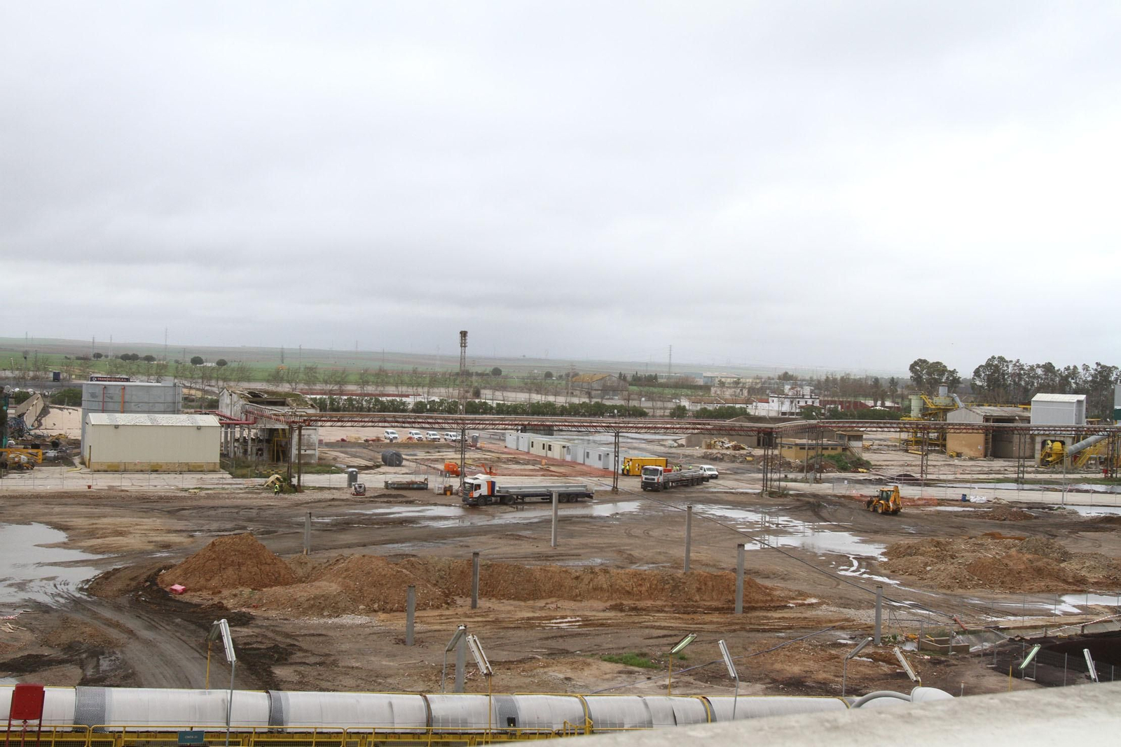 Ence obtendrá energía limpia de los residuos del campo onubense