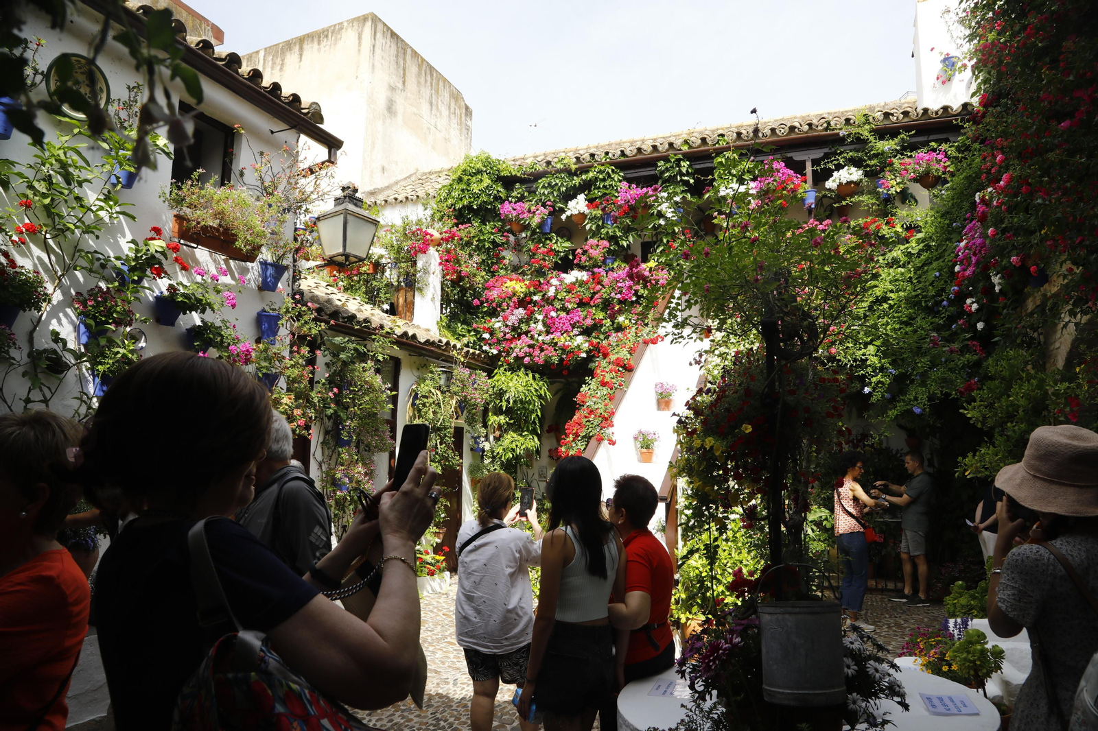 El primer día de Patios en Córdoba, en imágenes