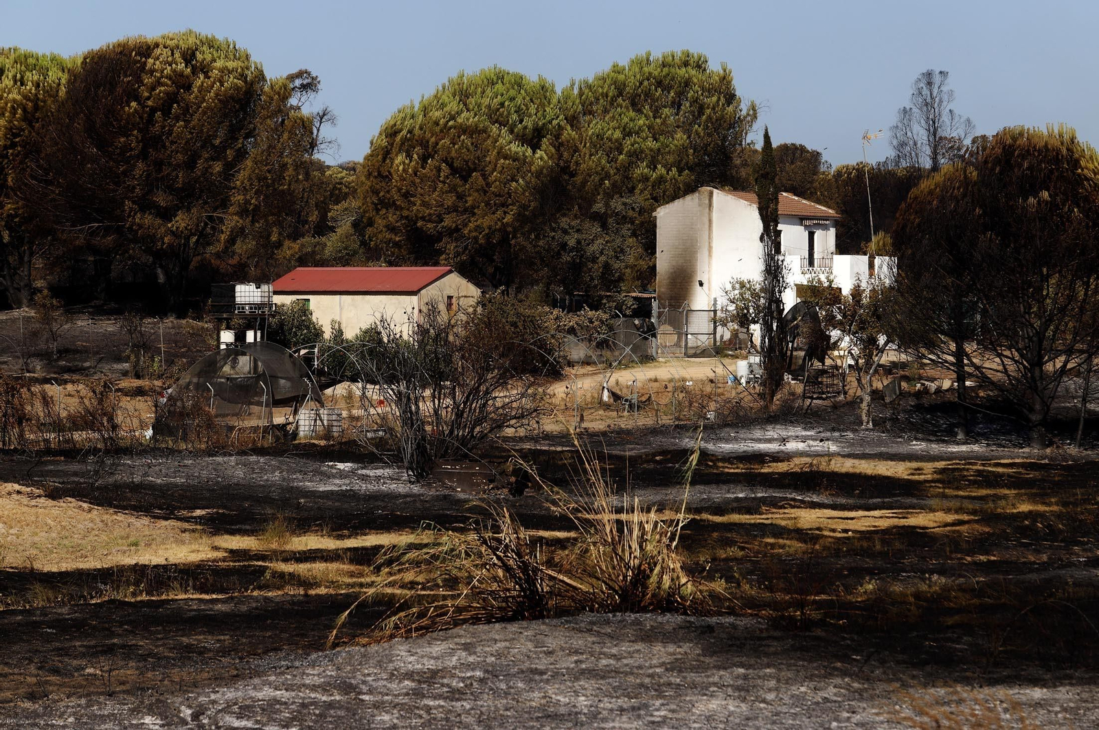 Imágenes de las zonas afectadas por los incendios de Almonte y Bonares
