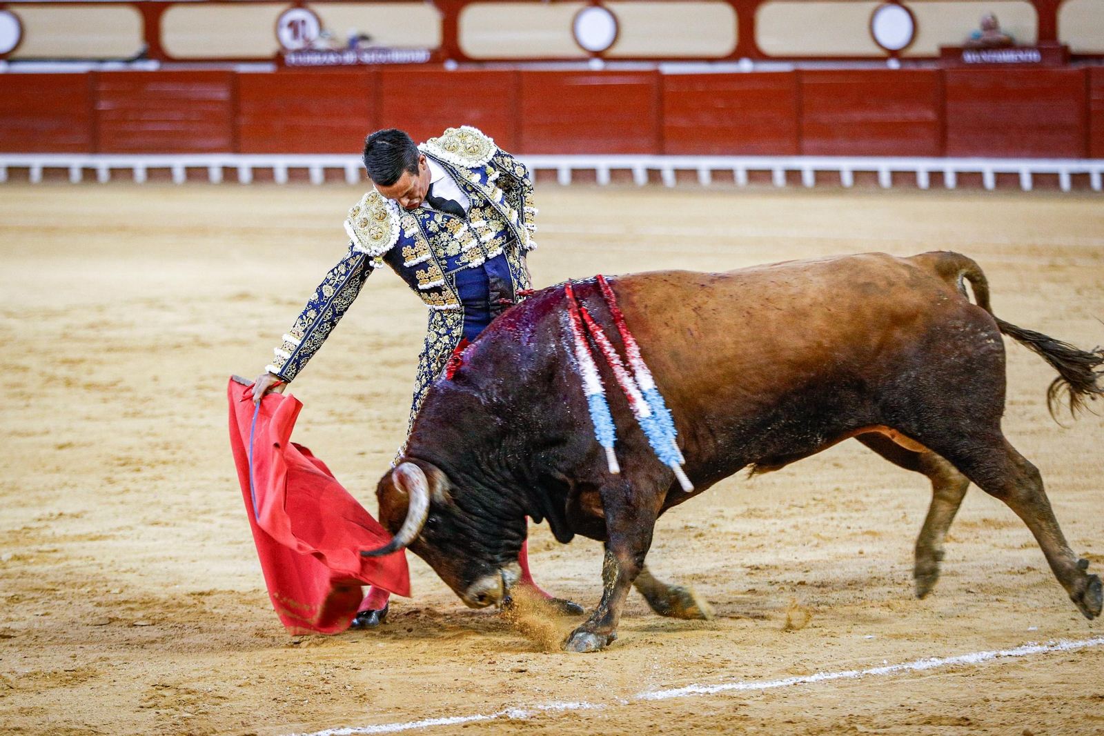 Imágenes de la corrida de toros en El Puerto: Manzanares, Roca Rey y Pablo Aguado