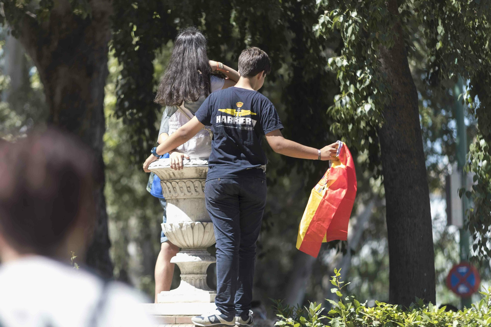 Las imágenes del desfile del Día de las Fuerzas Armadas en Sevilla