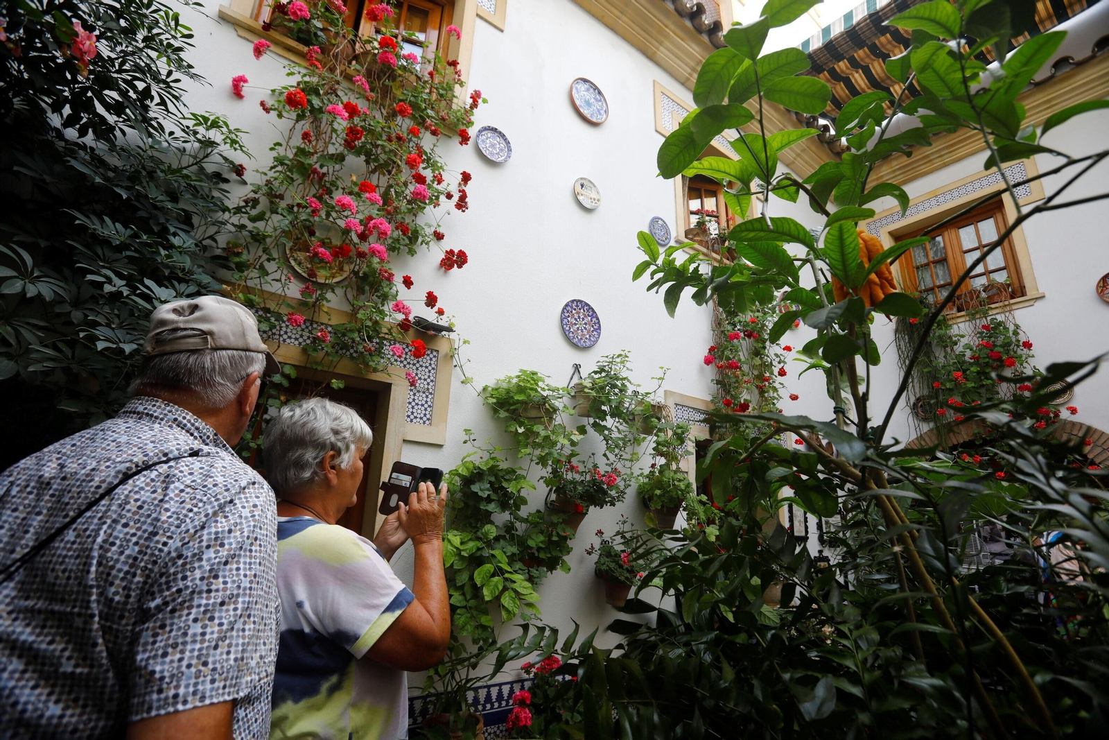 Los patios de Córdoba de la ruta Judería-San Francisco, en imágenes