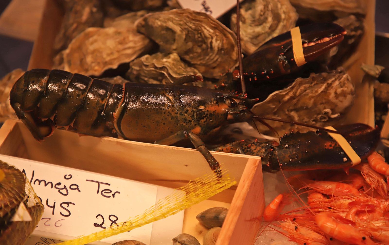 Fotos de las últimas compras para la cena de Nochebuena en Algeciras
