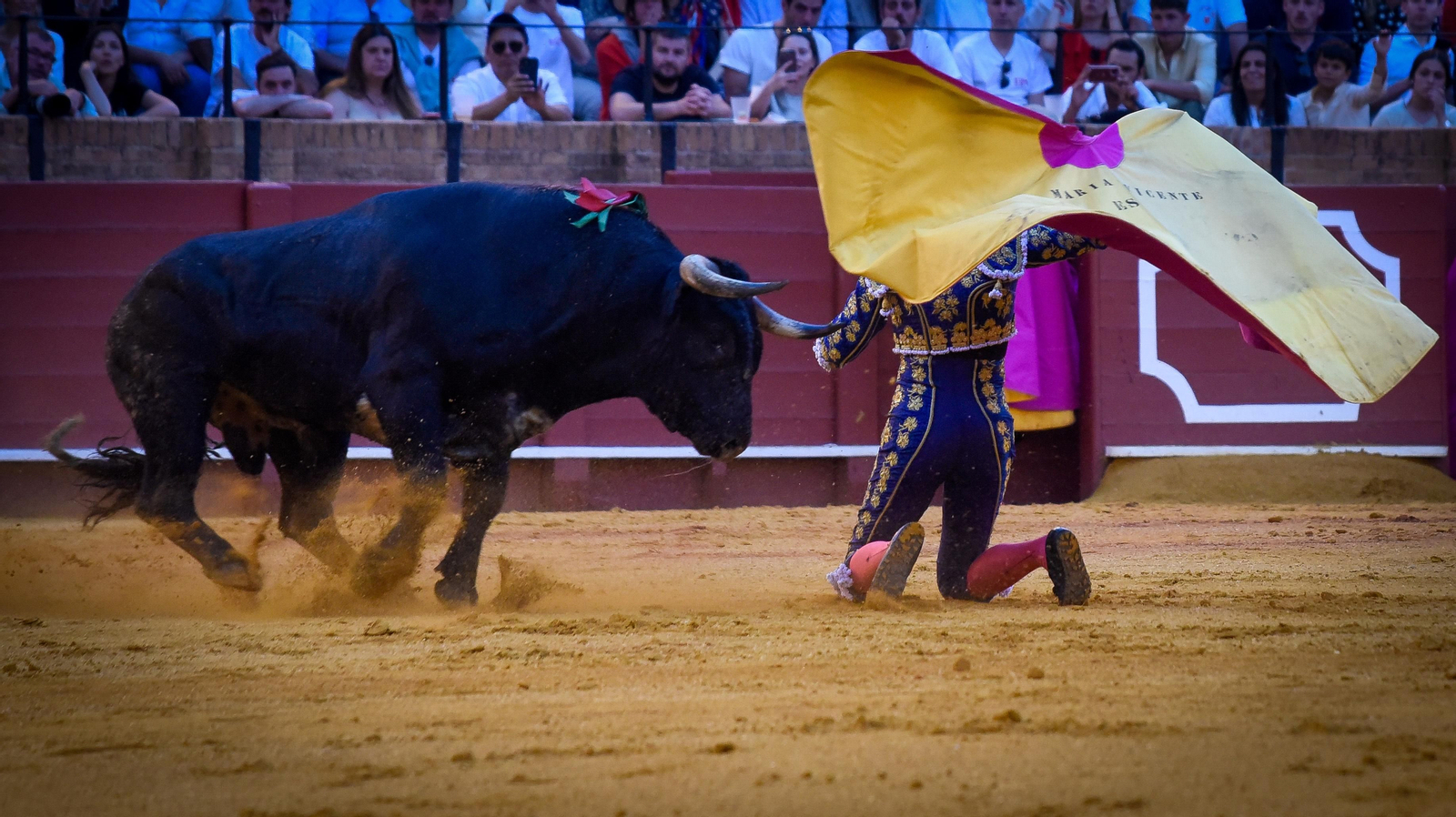 Las imágenes de la corrida de toros de El Fandi, Manuel Escribano y Esaú Fernández