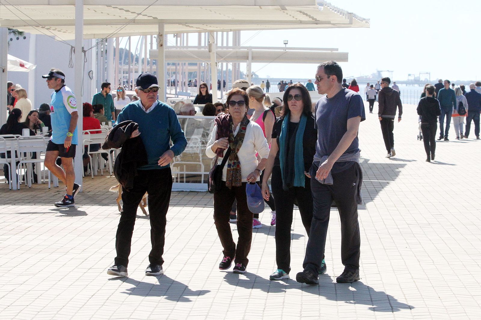 Ambiente primaveral en el día de Andalucía, en imágenes