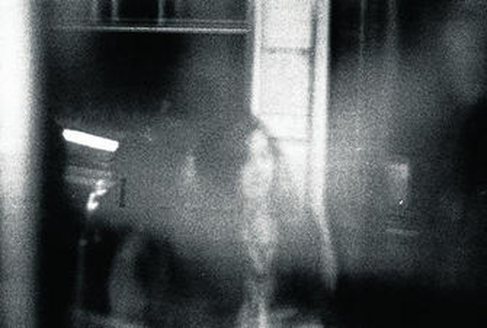 El festival que buscan los realizadores