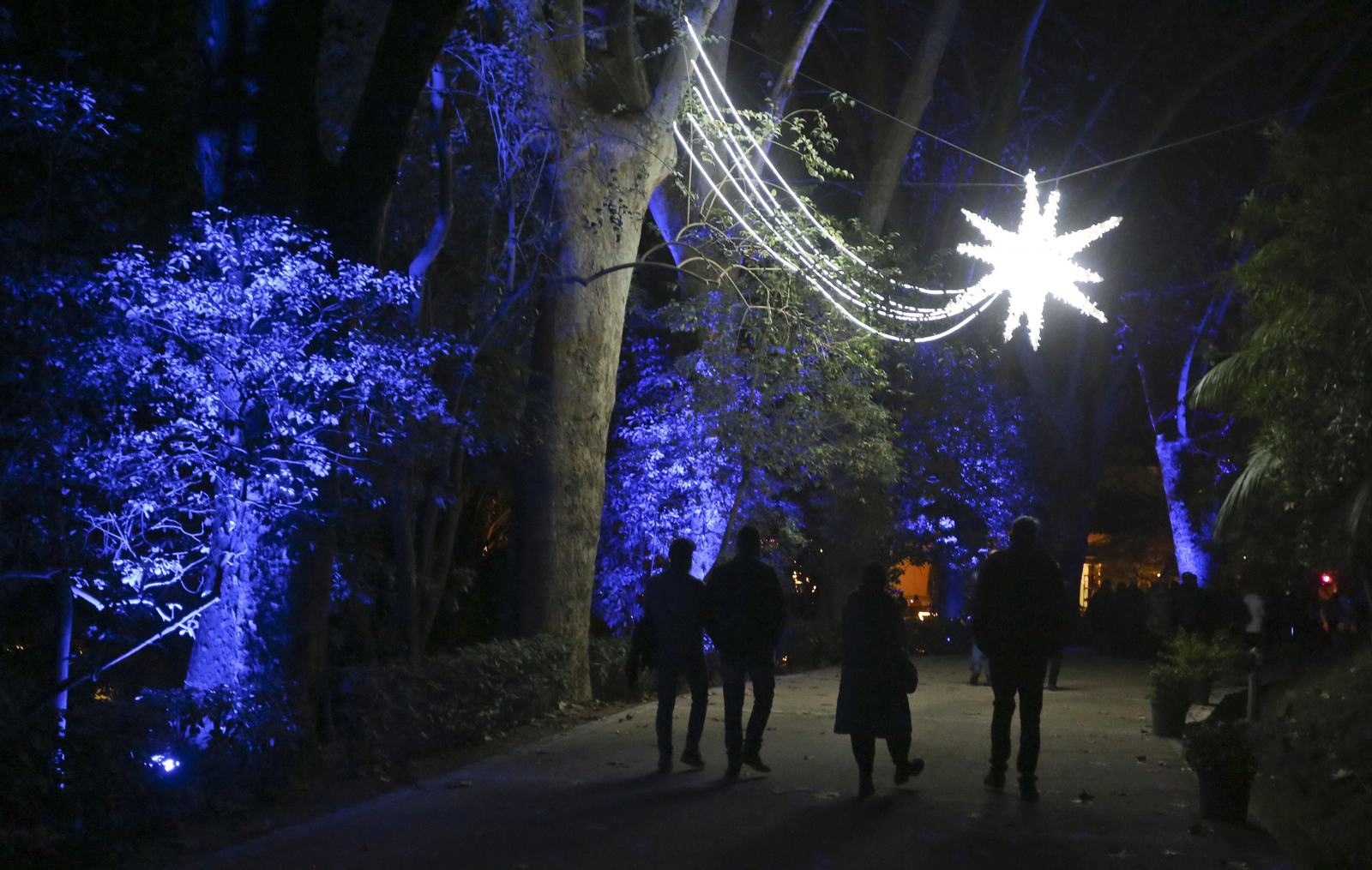 Las luces del Jardín Botánico de Málaga esta Navidad, en fotos