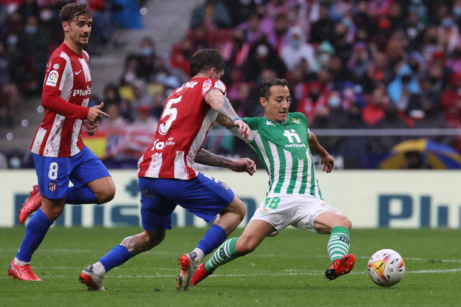 Las fotos del Atlético de Madrid-Betis