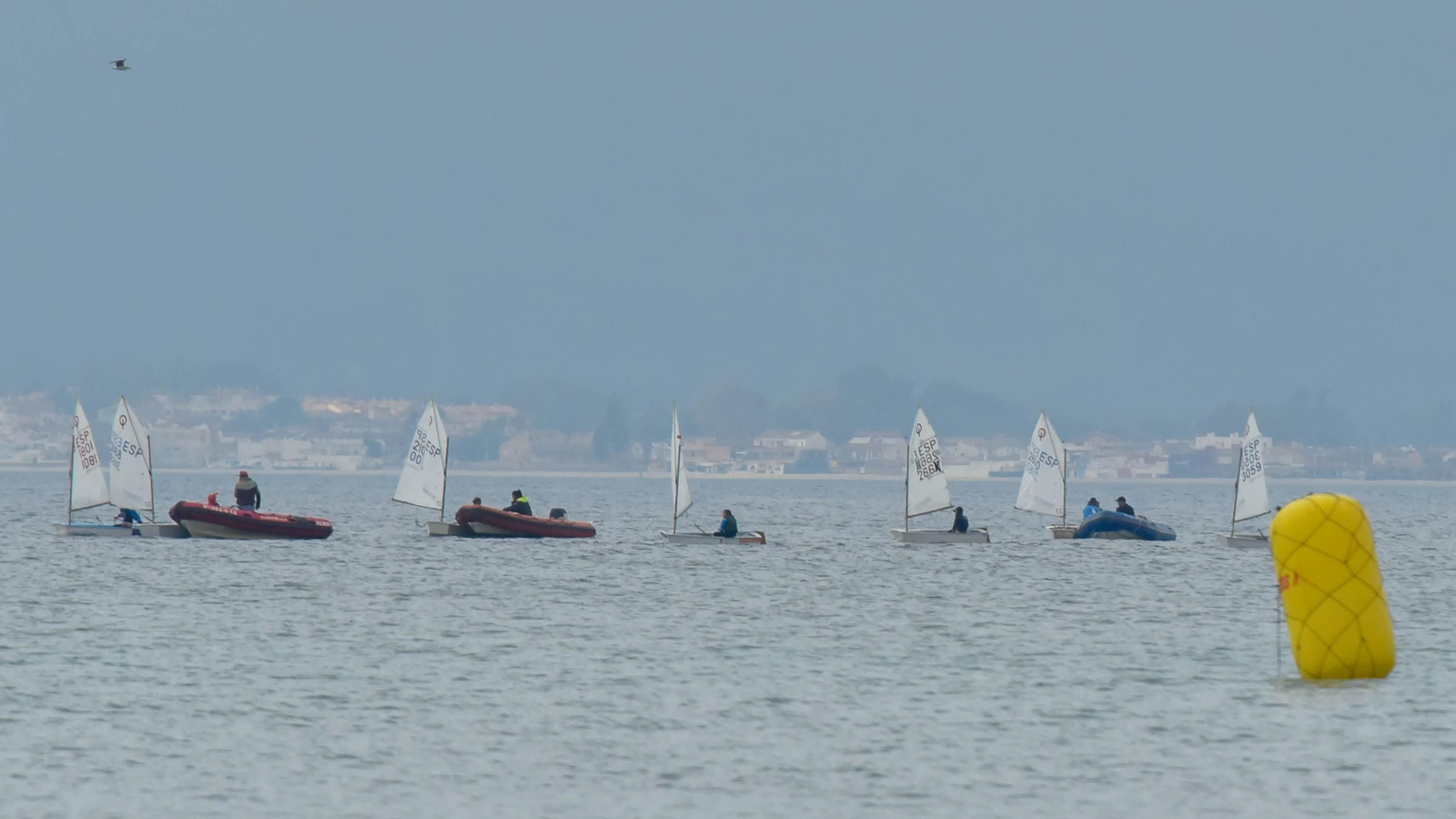 Las fotos de la primera jornada de la Copa de Andalucía de Óptimist en La Línea