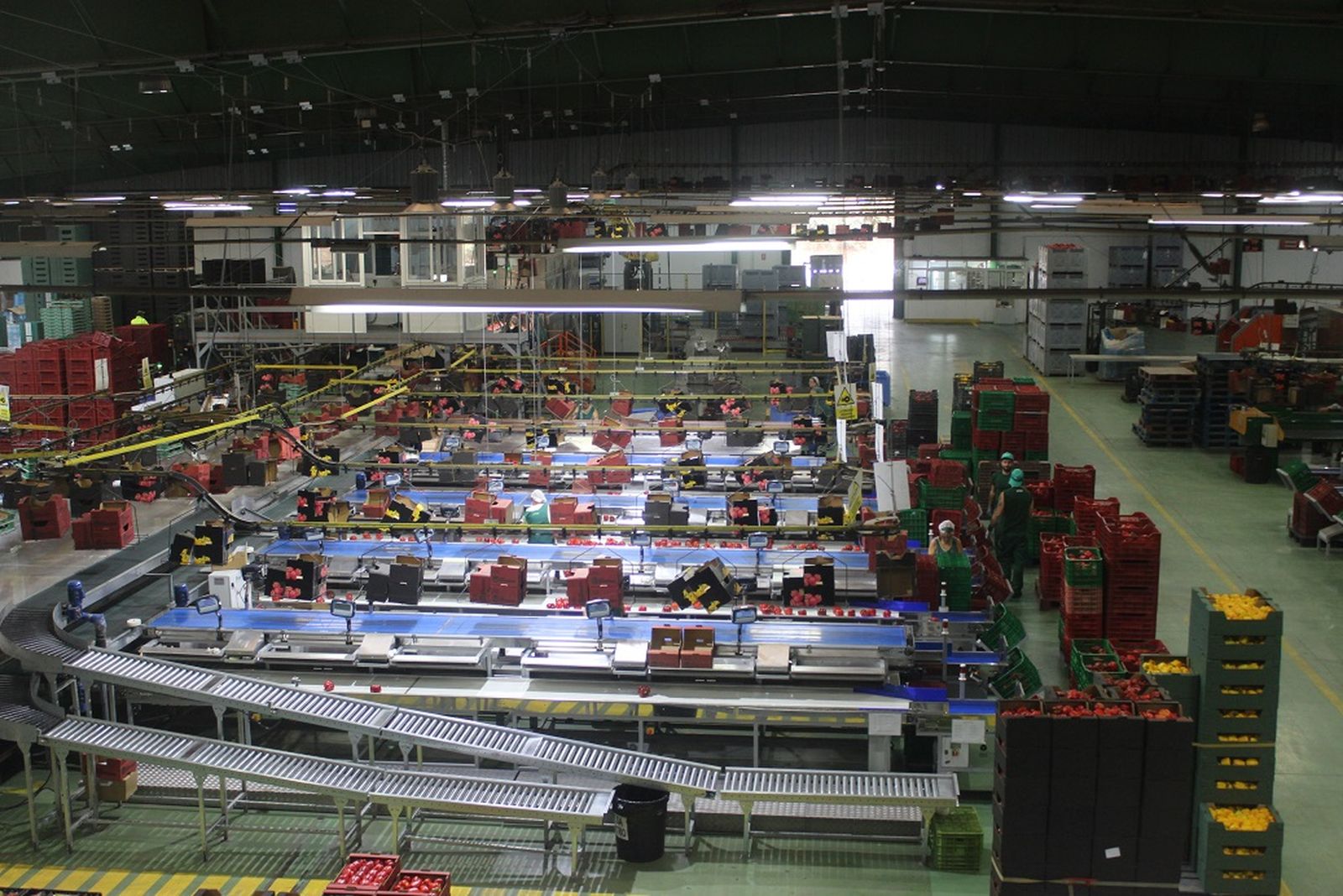 Fábrica de procesamiento del sector hortofrutícola