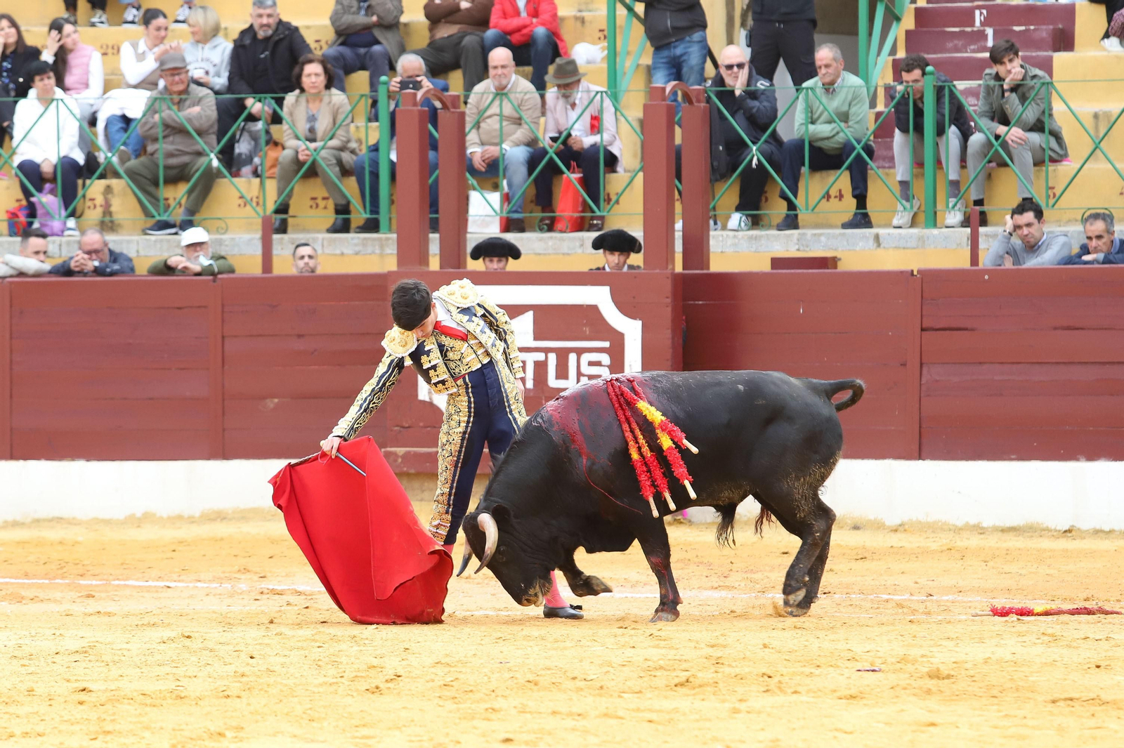 Imágenes de la novillada previa a la Semana Santa en la plaza de toros de La Línea