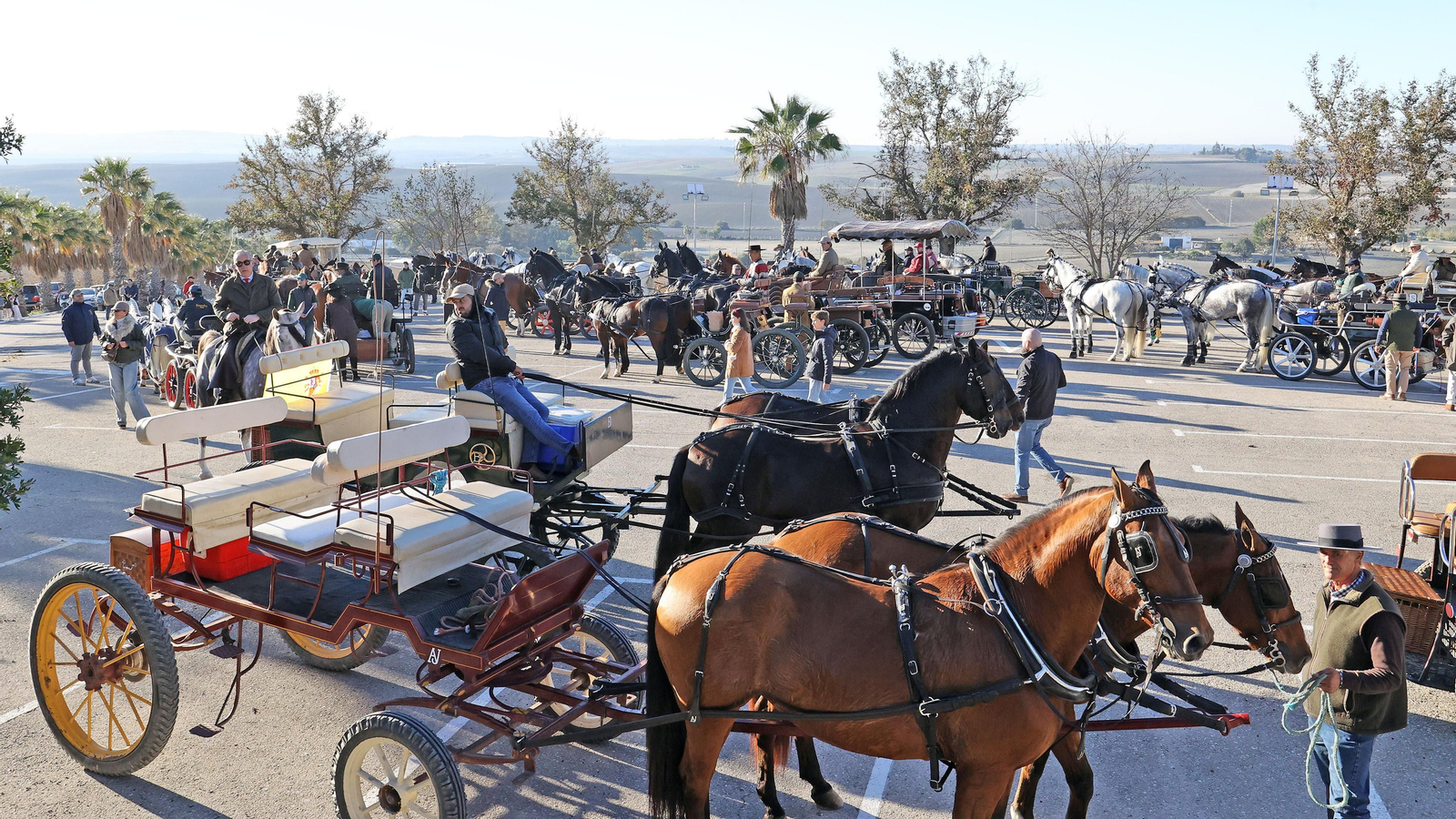 II Ruta Viñas de Jerez
