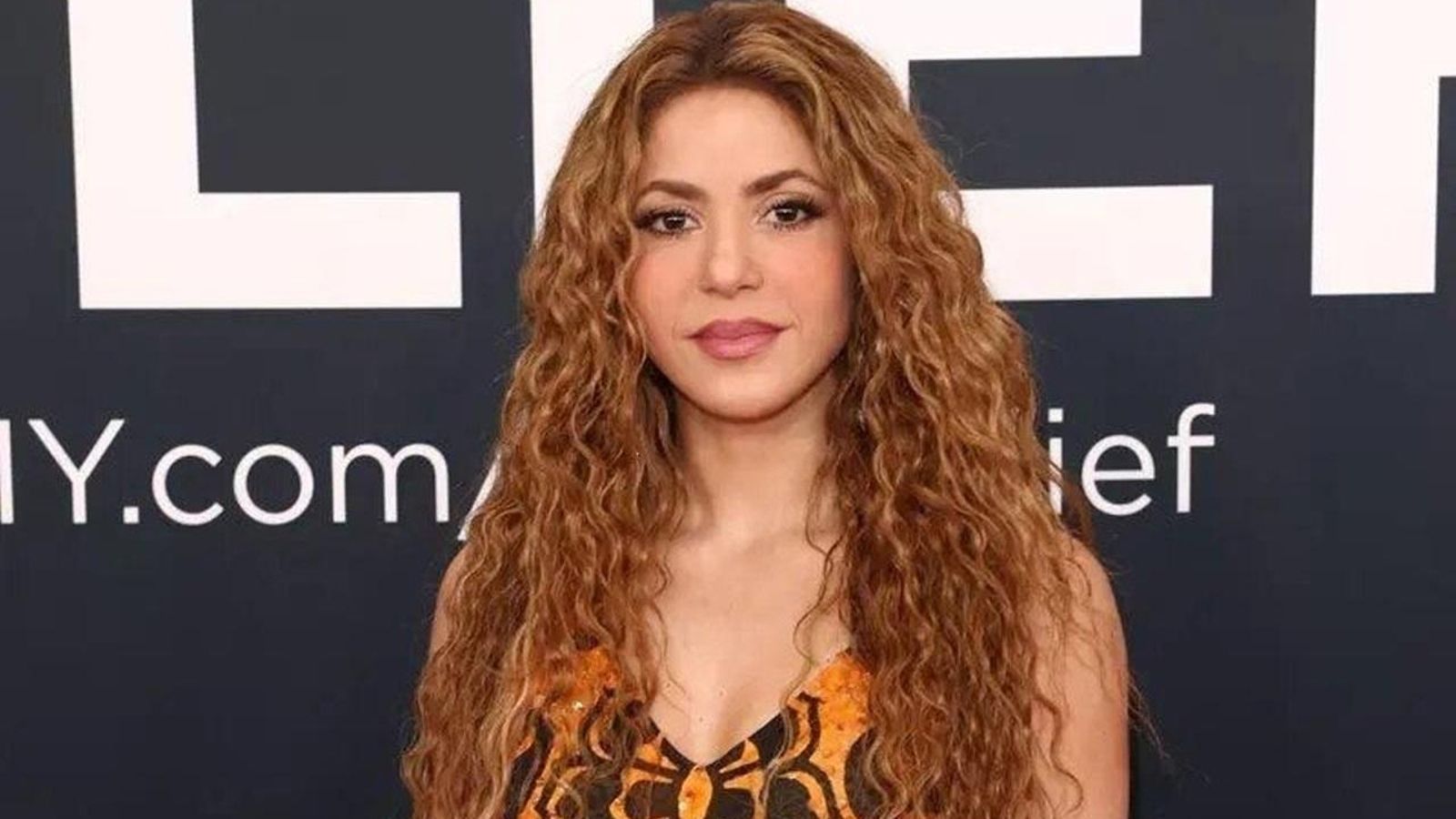 Shakira con su pelo rizado. Shakira con su pelo rizado.