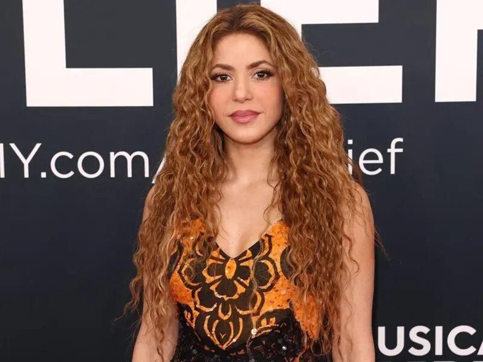 El frizz se da con más frecuencia en pelos rizados, pero puede ocurrir en toda clase de cabellos.