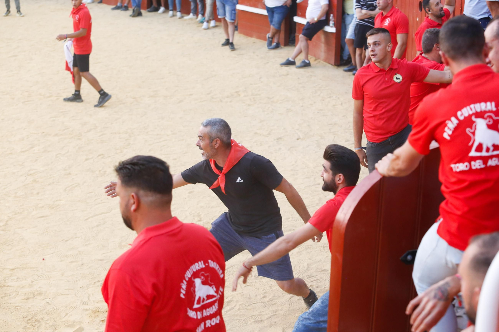 Fotos del Toro del Aguardiente en San Roque