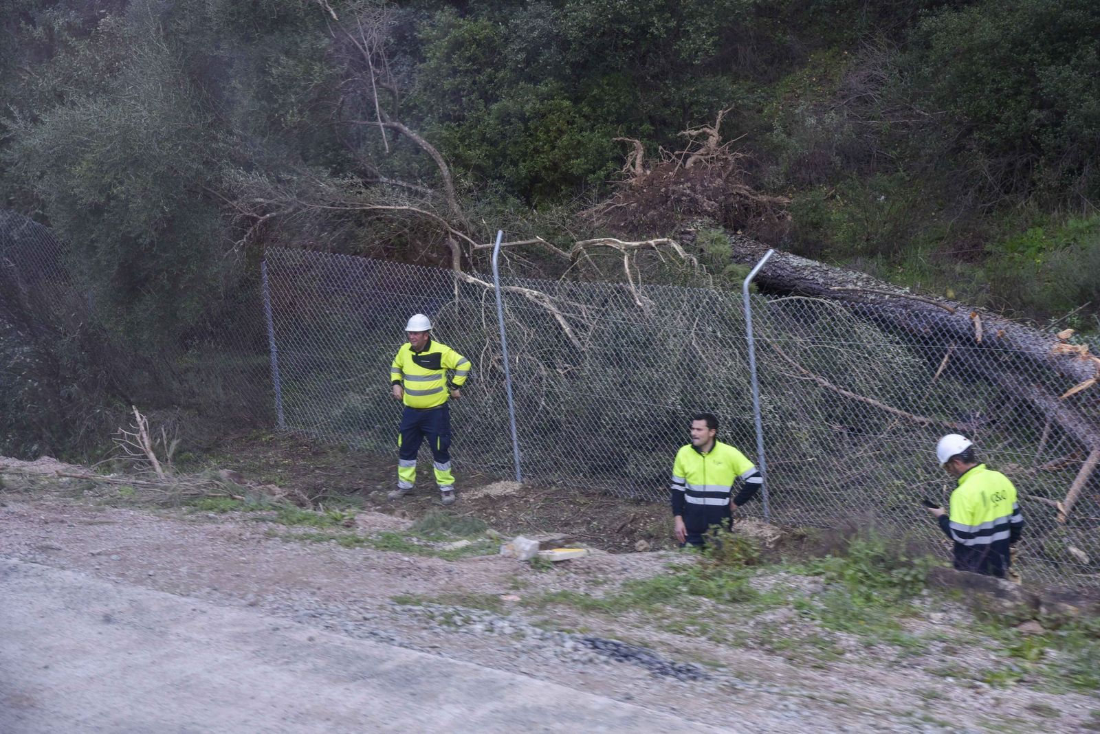 Viaje de Sevilla a Madrid en Iryo