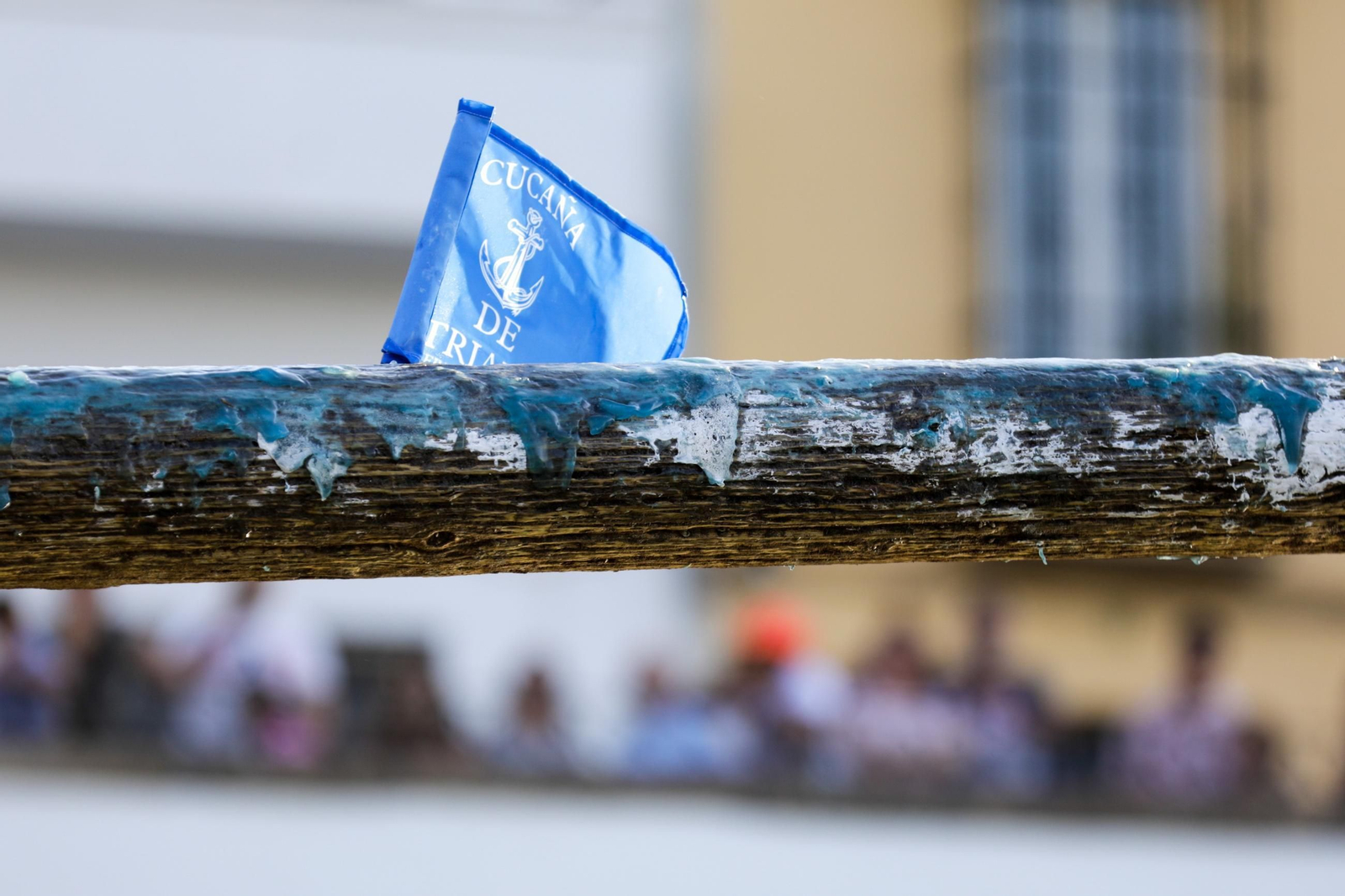 Las fotos de la cucaña en la Velá de Triana