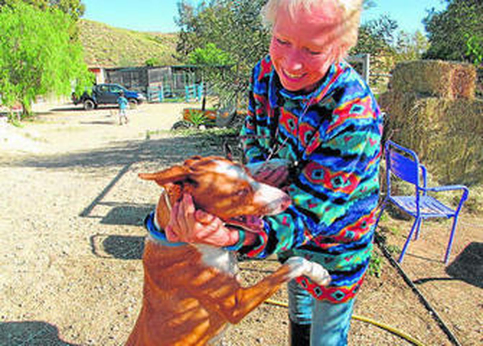 Batman ha encontrado un hogar junto a otros muchos animales en la finca de Sarah Lark.