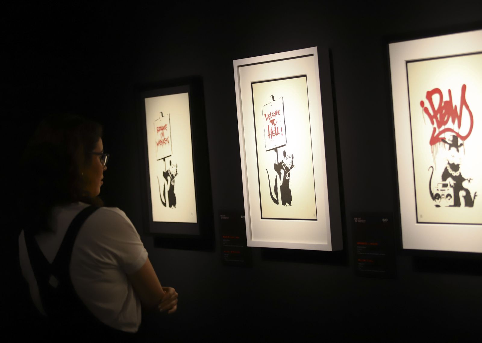 Las fotos de la exposición 'Banksy. The art of protest' en La Térmica, en Málaga