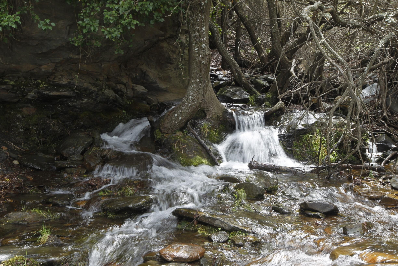 Naturaleza desconfinada. La Roza (Abrucena)