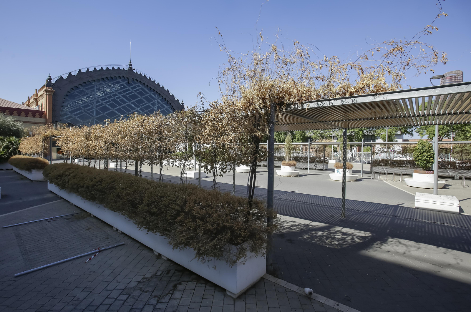 Abandono y mal estado de la plaza entre Mercadona y Plaza de Armas