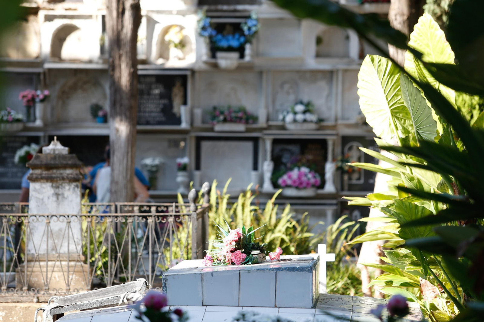 El Día de Todos los Santos en Algeciras, en imágenes