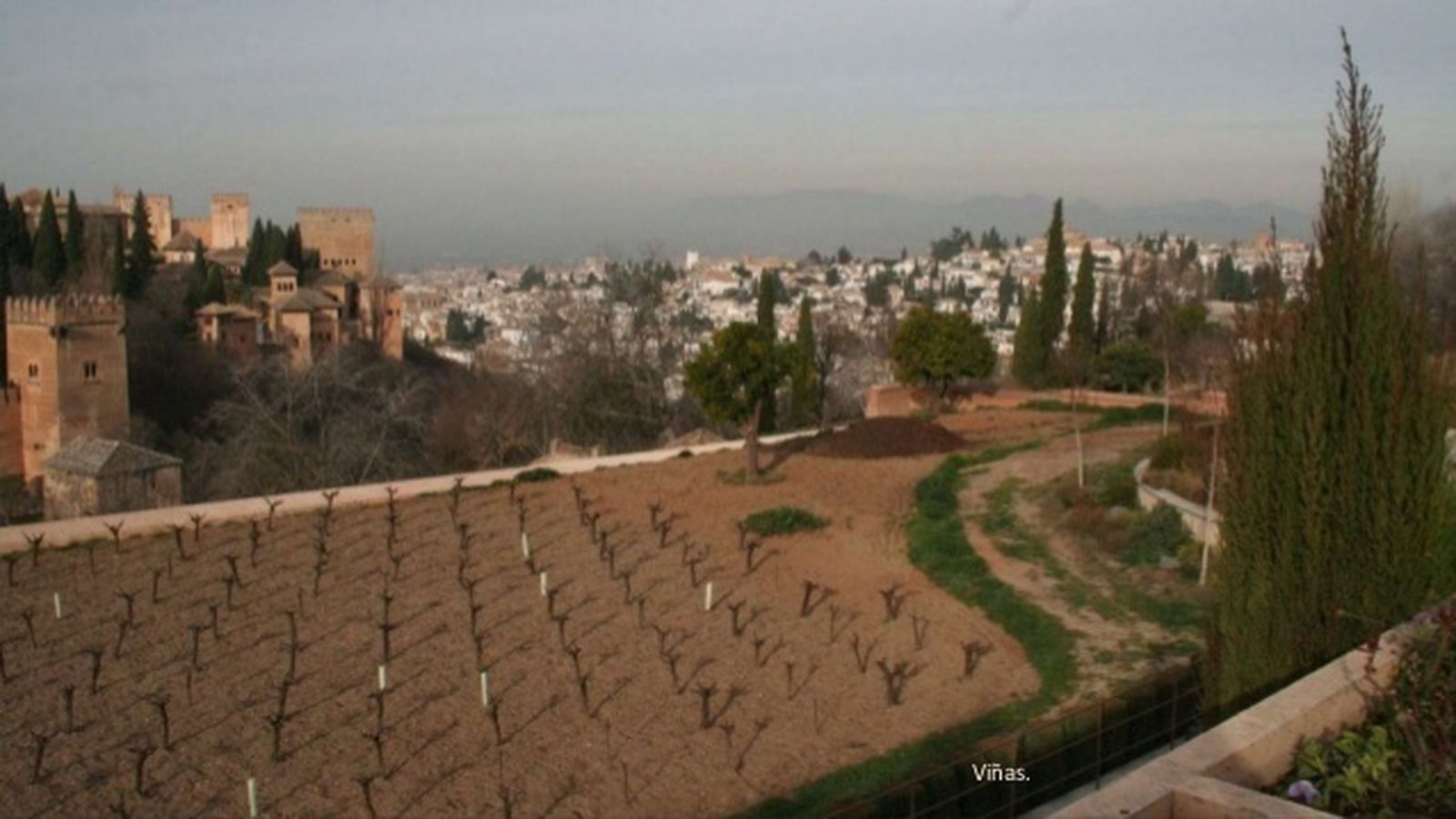 Nuevas plantaciones en el Generalife