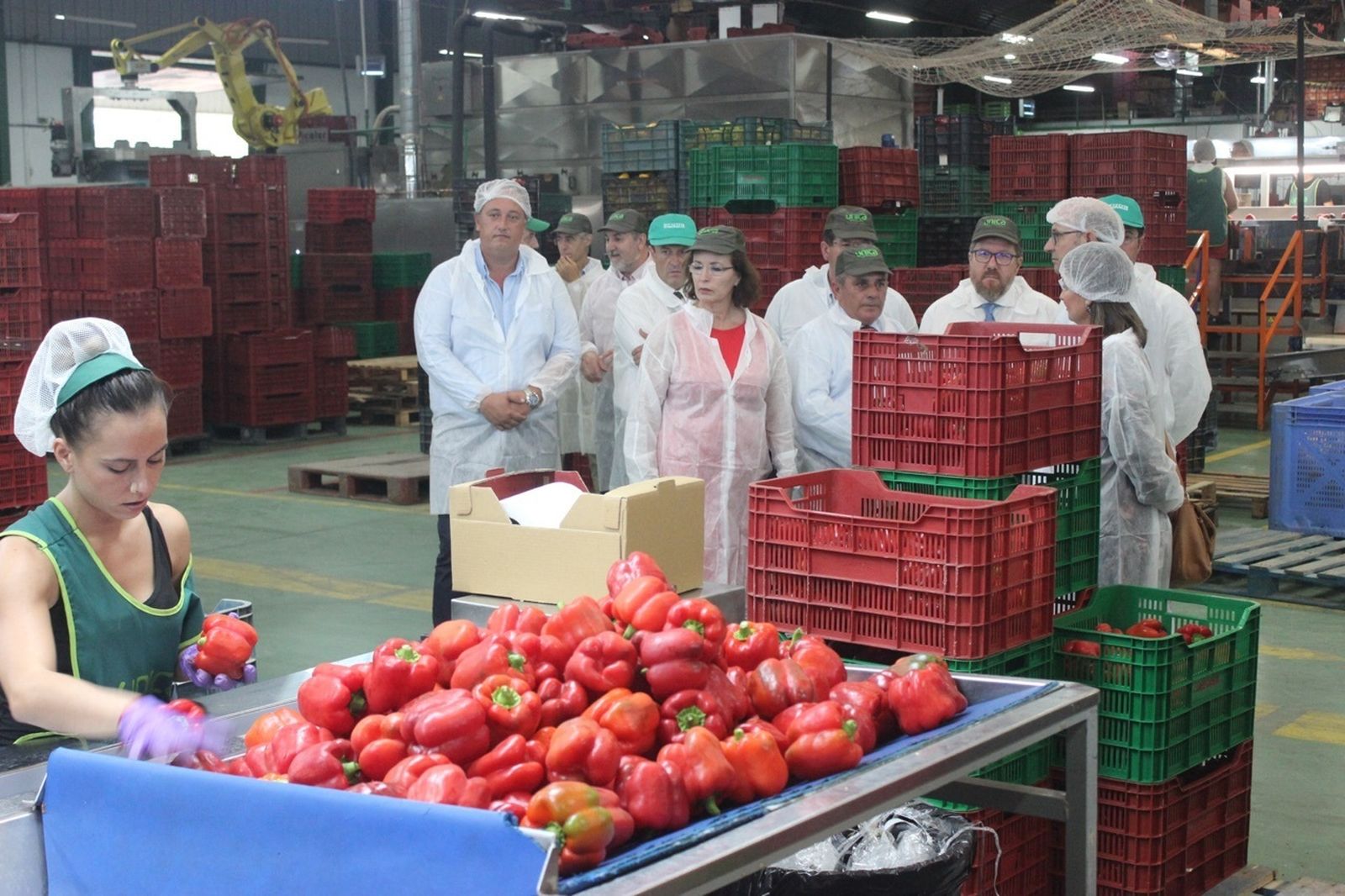 La firma cuenta con más de 200 socios.