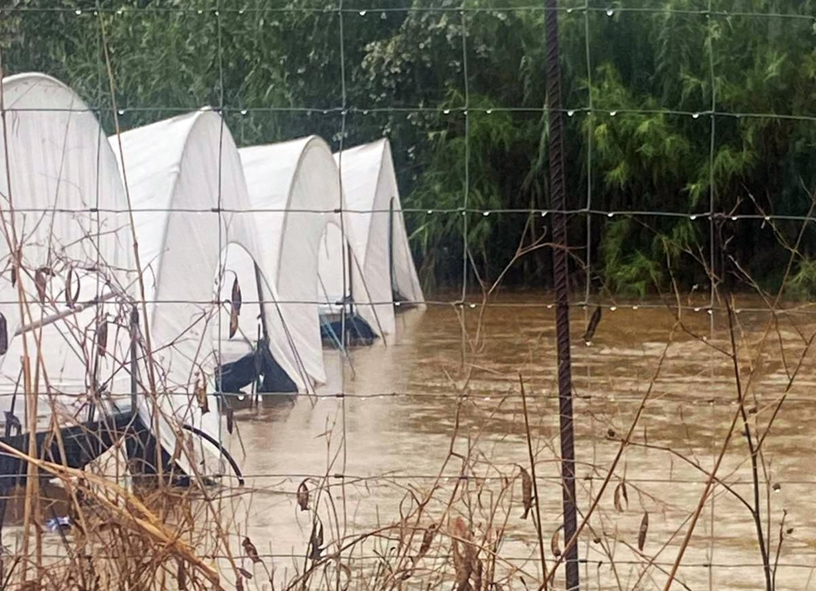 El agua alcanzó hasta un metro y medio de altura en buena parte de los invernaderos de Rocío Acosta El agua alcanzó hasta un metro y medio de altura en buena parte de los invernaderos de Rocío Acosta
