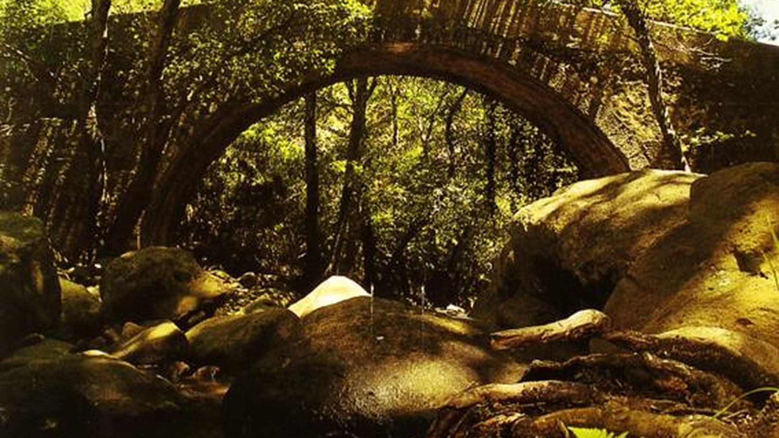 Puente del sendero del río de la Miel.
