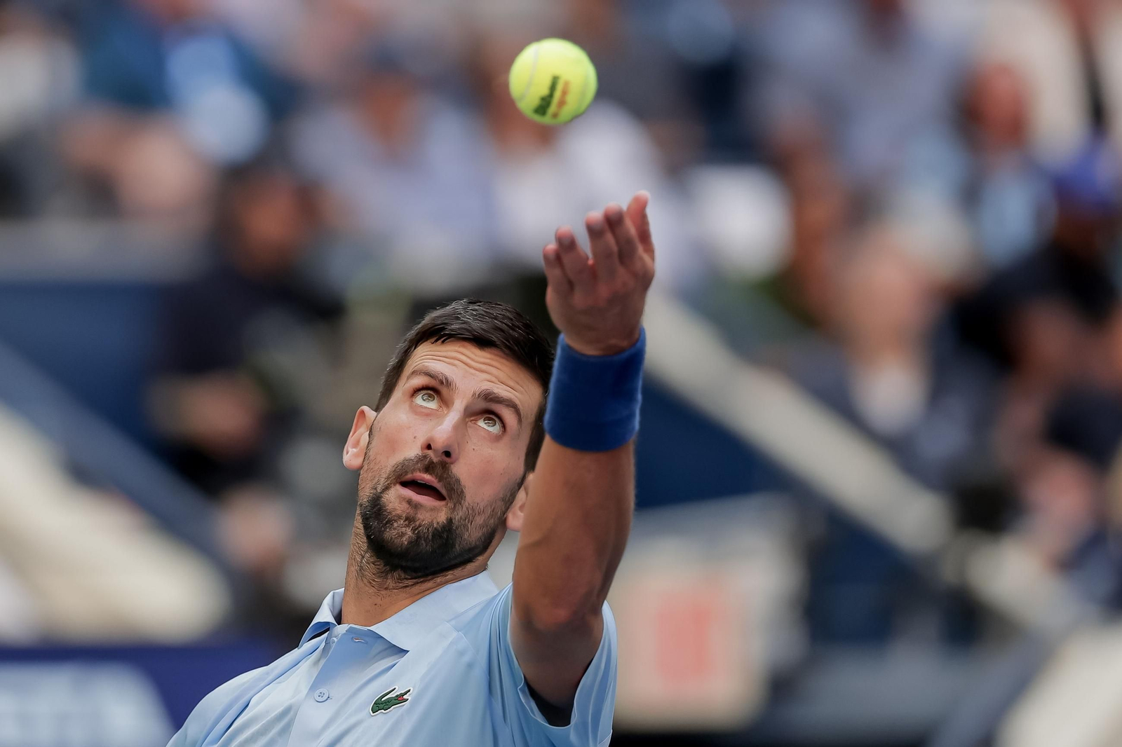 Las fotos del pase a la final de Alcaraz ante Djokovic