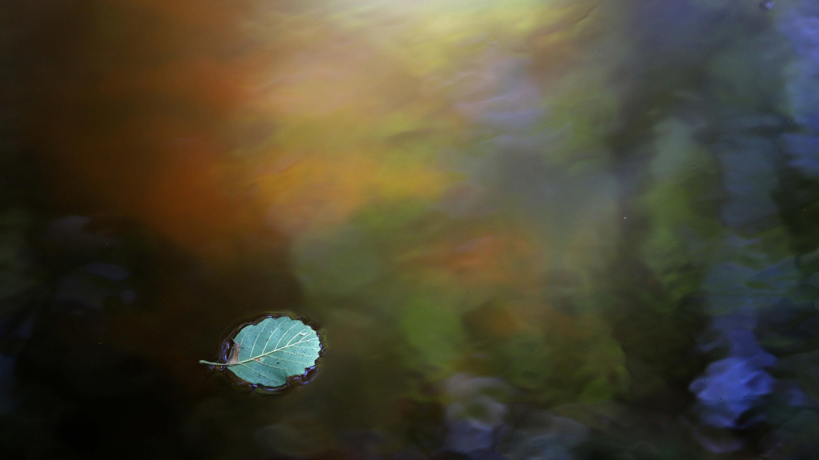 Las mejores fotos de la Montera del Torero y Valdeinfierno