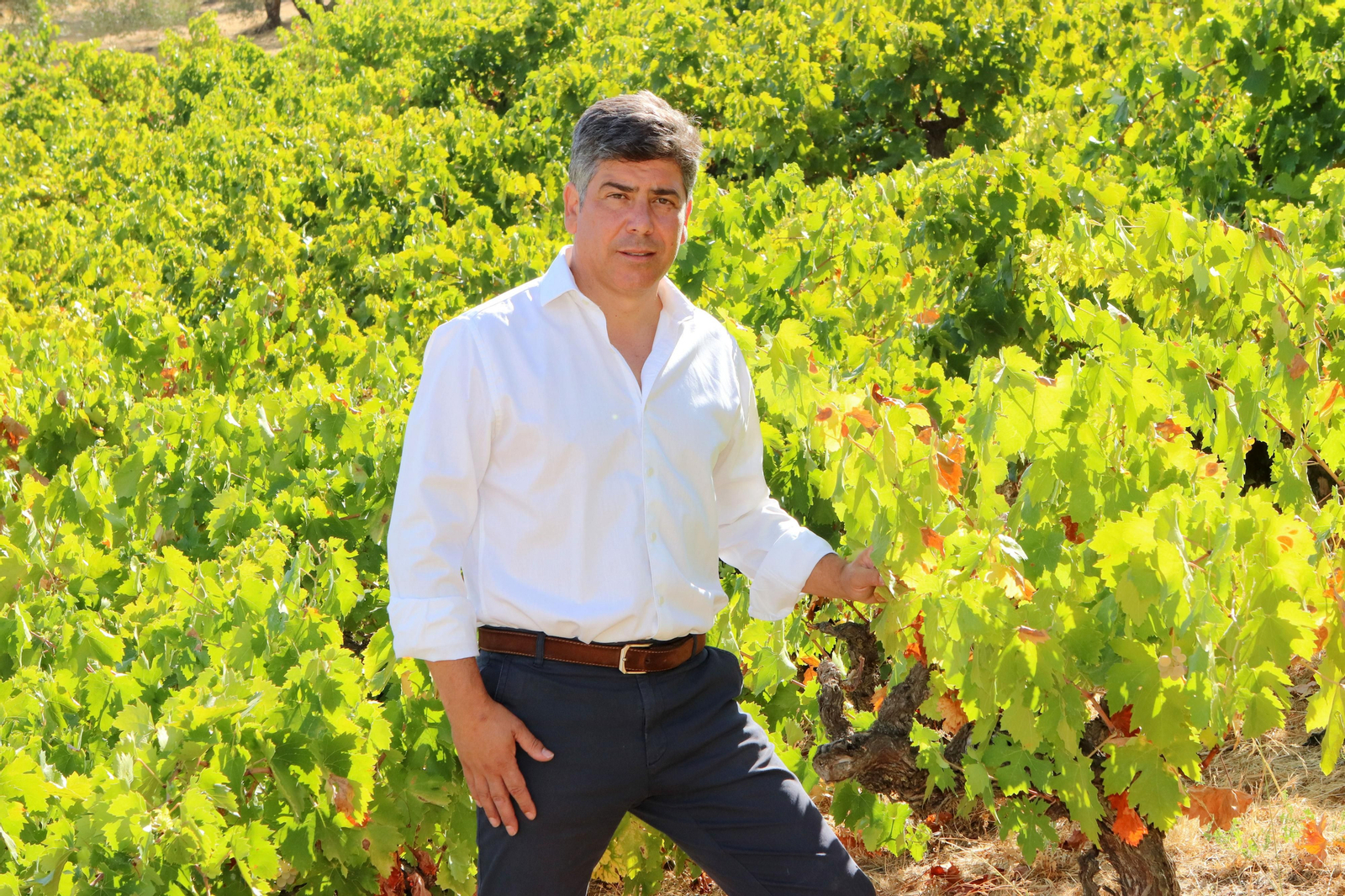 Rafael Llamas. Presidente de ARA:  "“Los GDR ayudan a que cada territorio busque sus posibilidades de desarrollo”