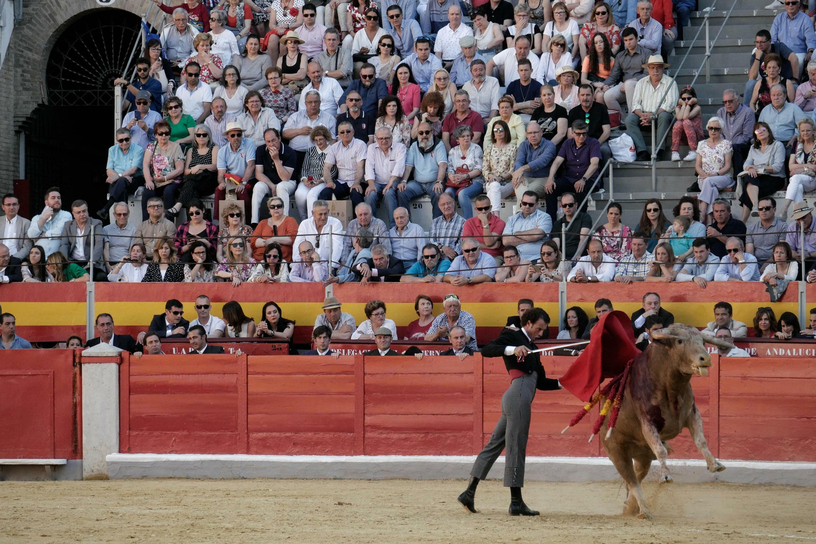 Festival taurino a beneficio de Down Granada