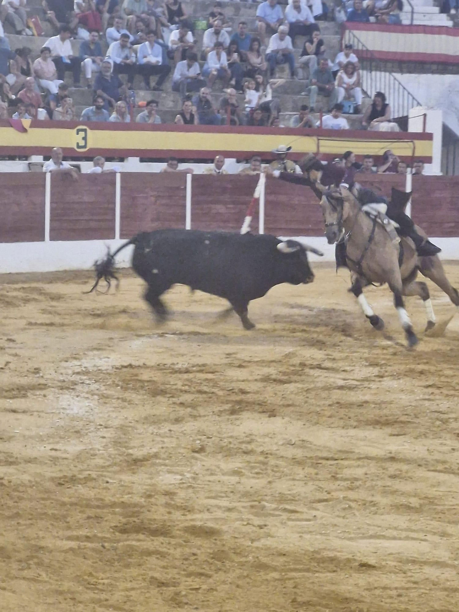 Un momento de la actuación del granadino Sebastián Fernández