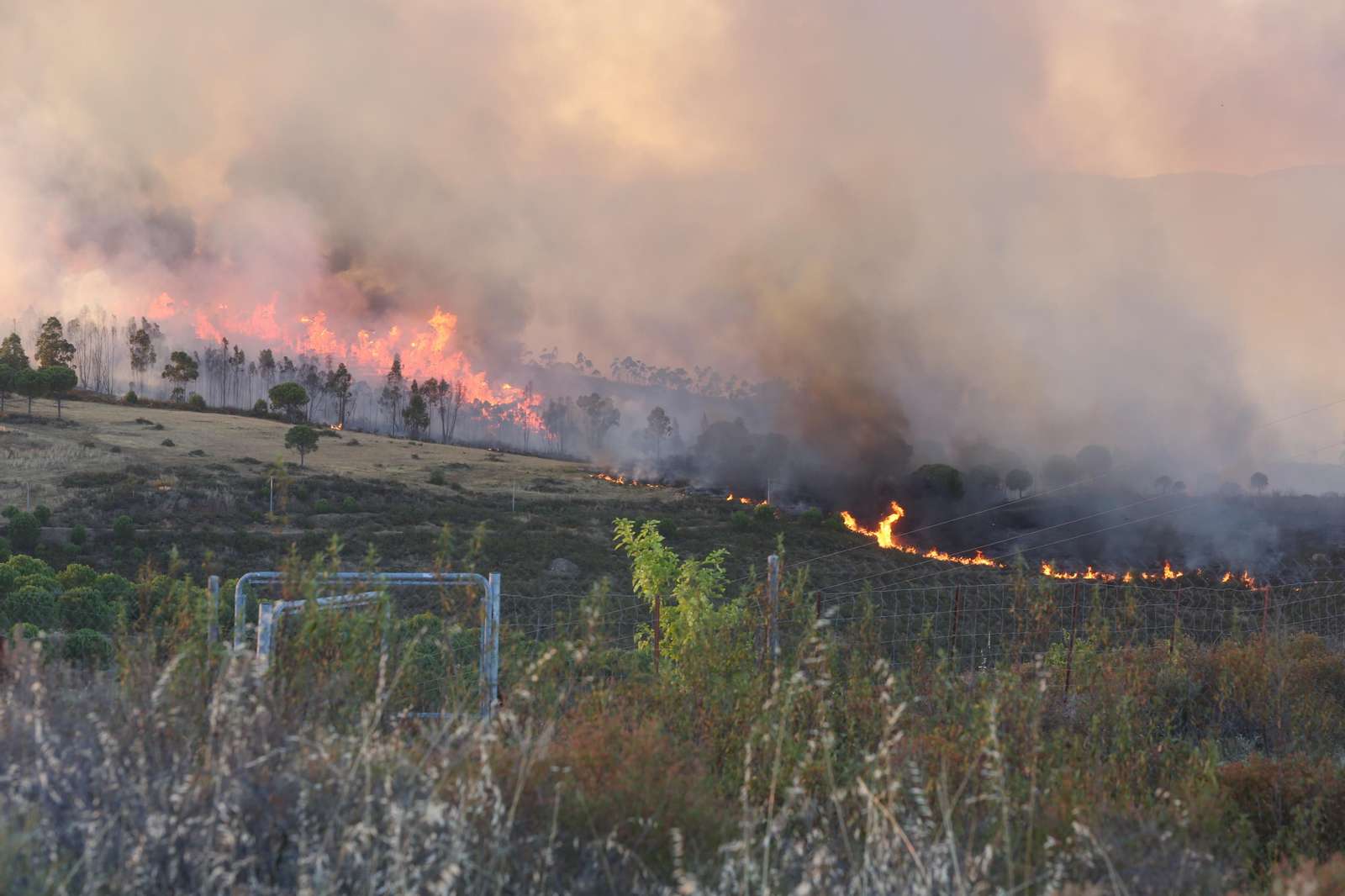 El incendio de Riotinto en imágenes