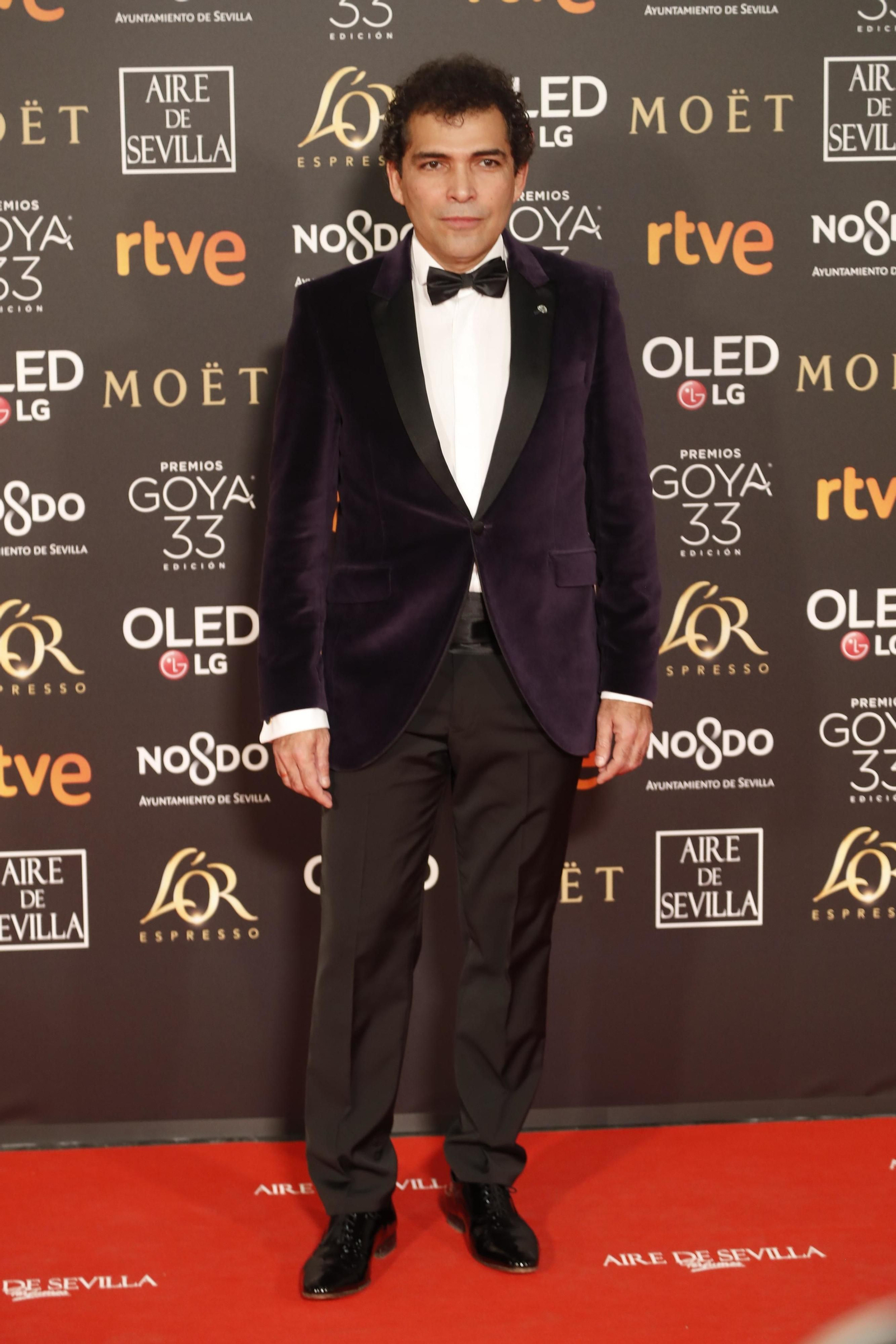 La alfombra roja de los Premios Goya en Sevilla