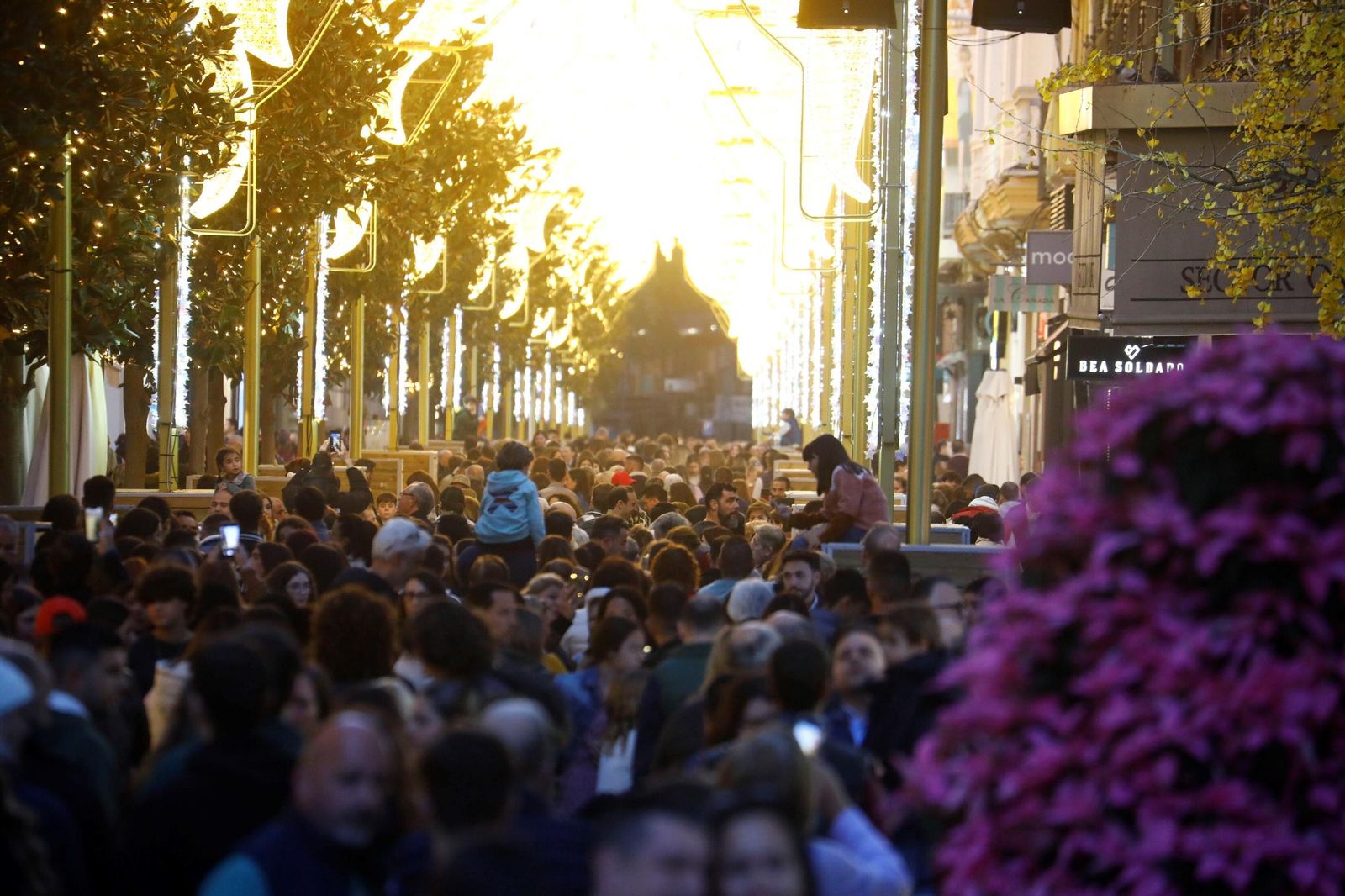 El mejor ambiente en el centro de Córdoba por Navidad, en imágenes