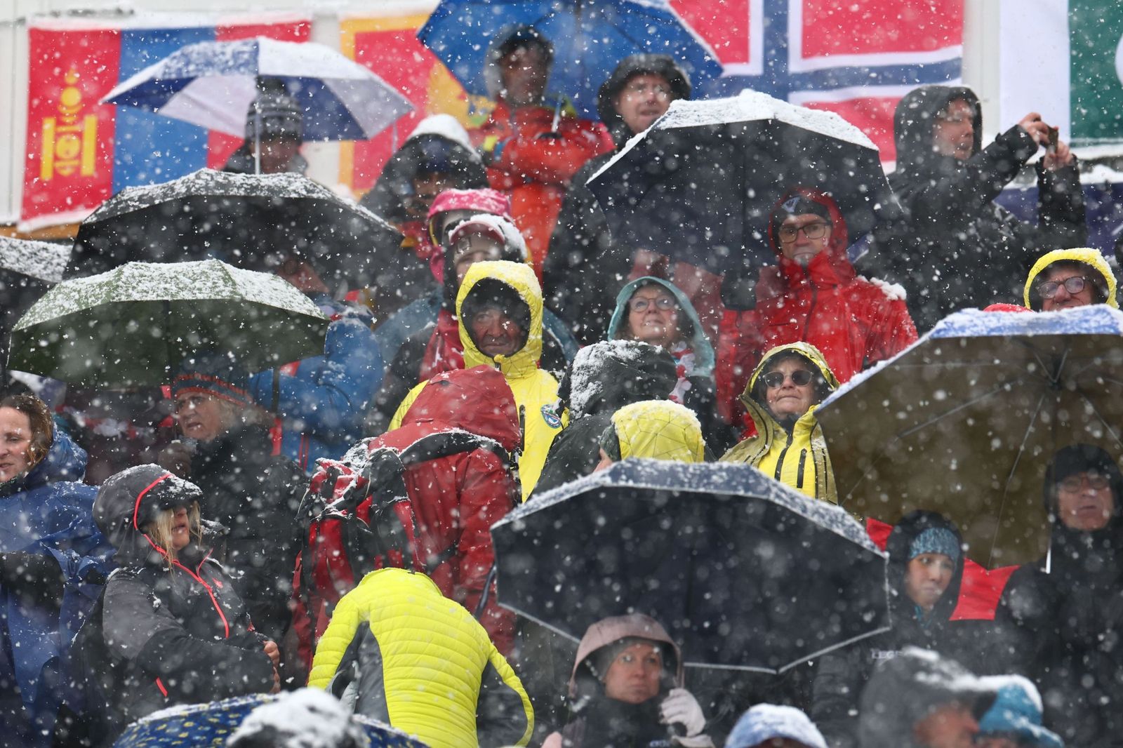 Las fotos del día grande de España en los Juegos Olímpicos de Invierno