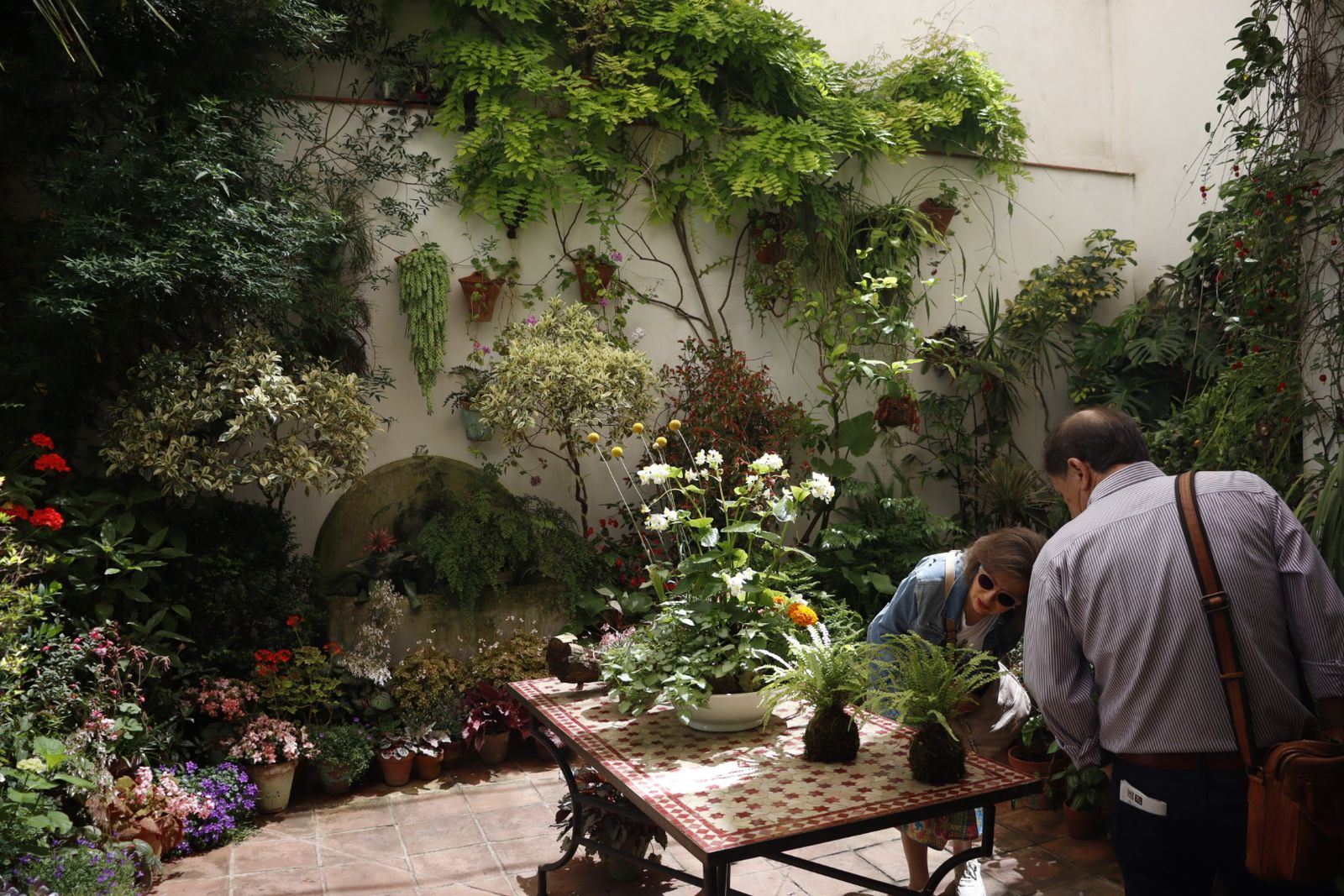 Ruta de los patios de San Lorenzo