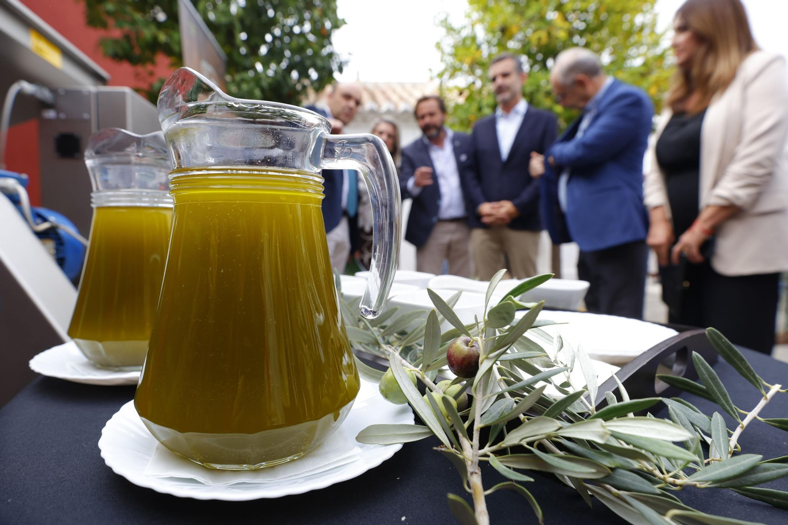 Un momento del acto de apertura de la campaña de aceituna.