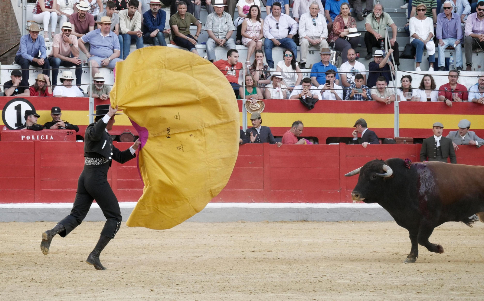 Festival taurino a beneficio de Down Granada