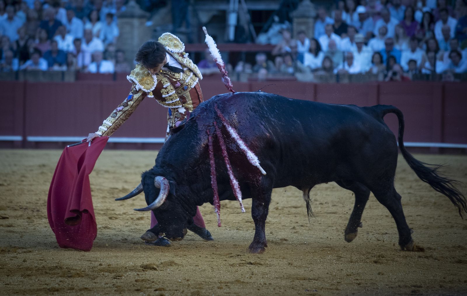 Las imágenes de la segunda corrida de la Feria de San Miguel