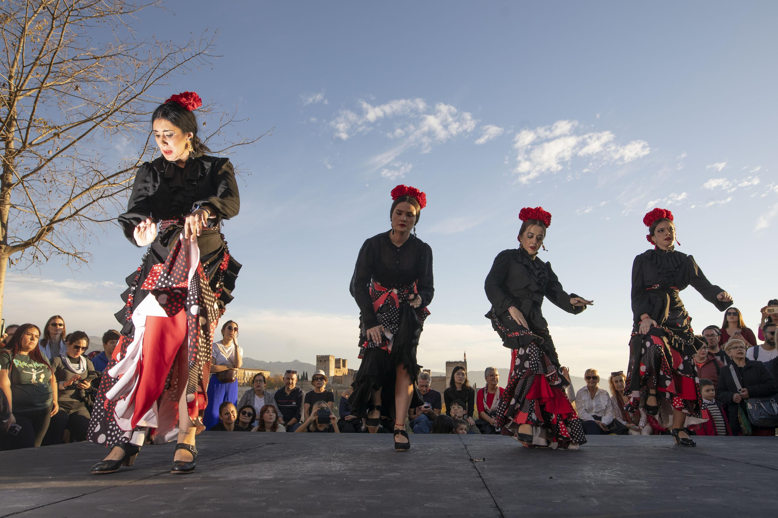 Granada celebra el Día del Flamenco, en imágenes