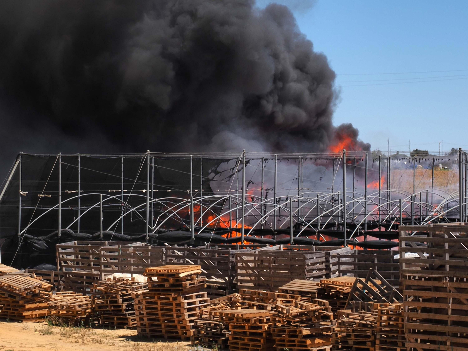 Las imágenes del aparatoso fuego que ha arrasado un vivero en Cartaya