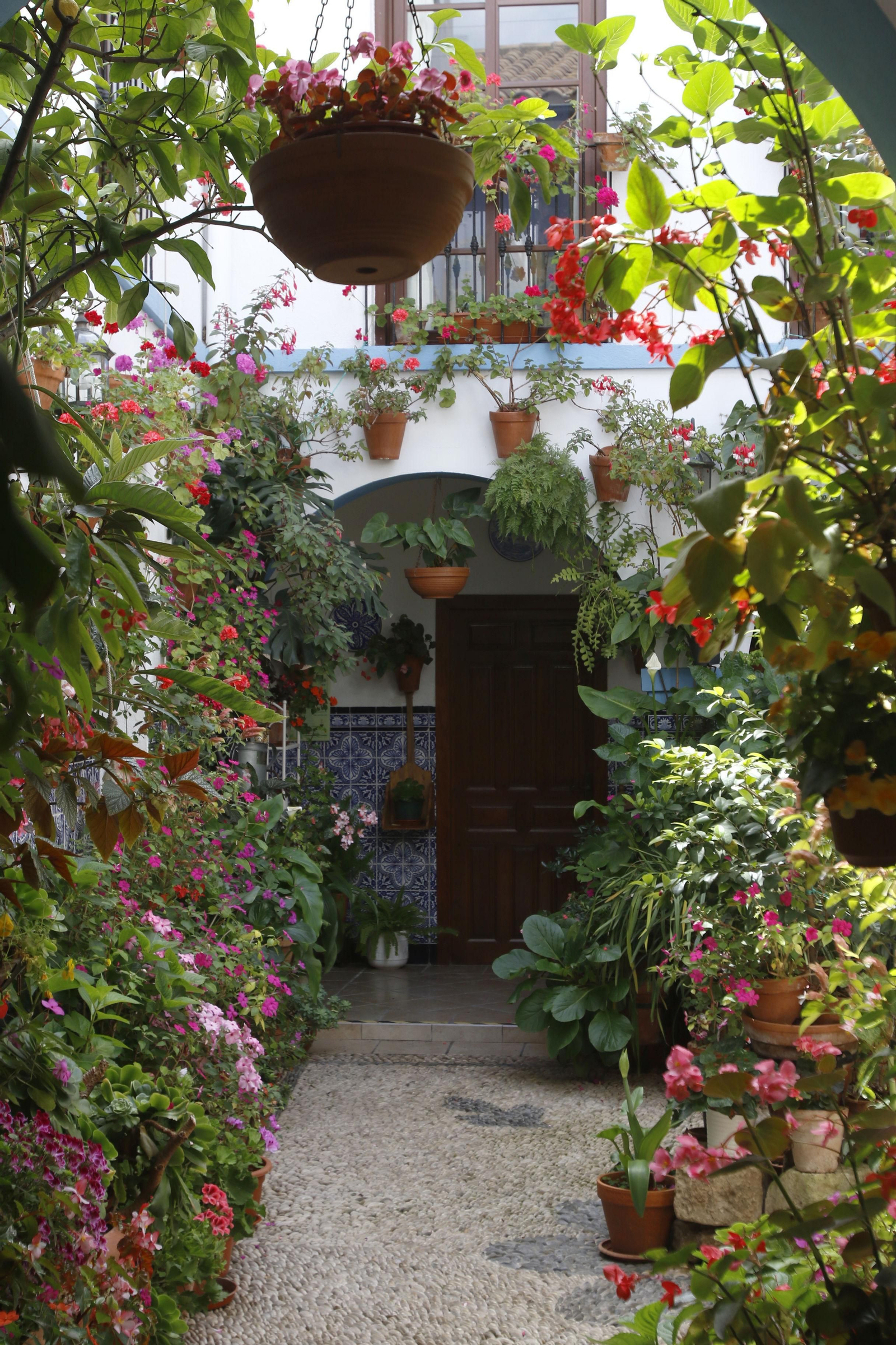 Los Patios de Córdoba en tiempos de crisis: Pedro Fernández, 6